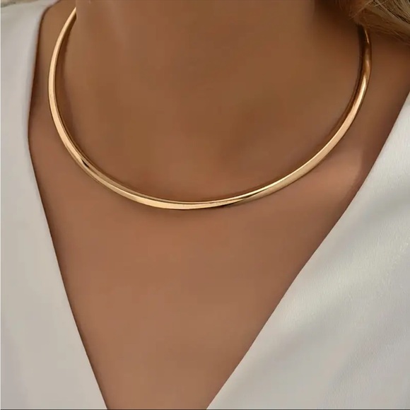 Niche 2025 Elegant Smooth Curved Choker Necklace - Short Clavicle Chain - Picture 3 of 7